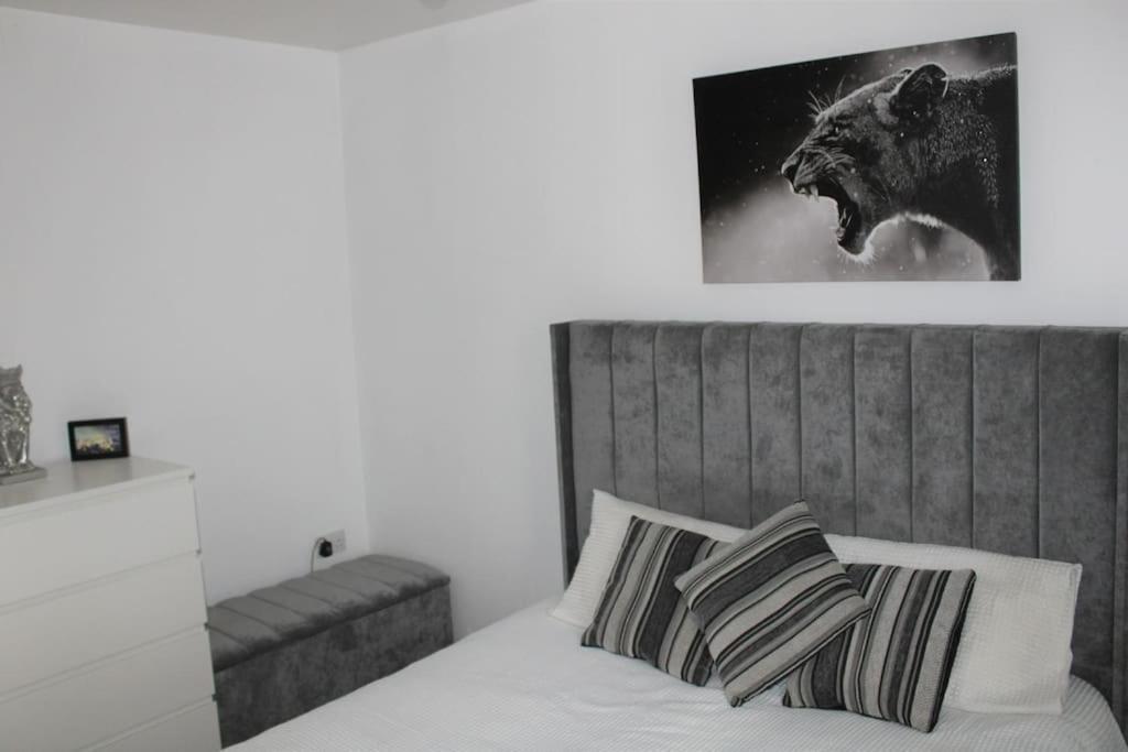 Lovely Modern Apartment Close To Town Centre Lexden Ngoại thất bức ảnh